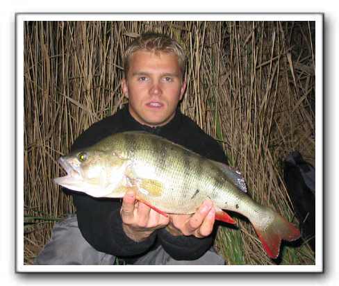 Henrik Nielsen 1.600 gr