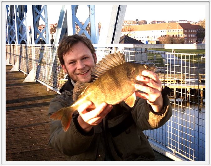 44 cm 1.400 gr Randers aborre. Foto: Steen Vad Knudsen