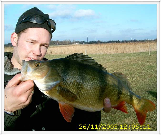Dennis Krogh med en St. Vejle &aring; aborre p&aring; 1.750 
