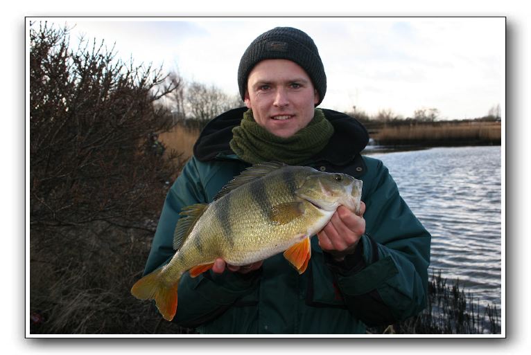 Henrik Carl 1.700 gr  