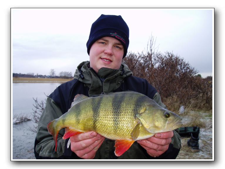Jesper Eriksen med en solid aborre på 1410 g - 43 cm