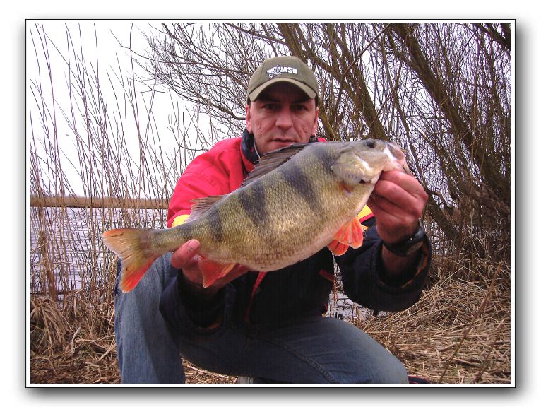 Alen Sehovic fra Randers med Gigantisk Gudenå Aborre