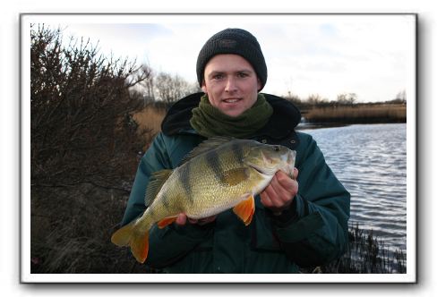 Michael Holm Larsen Aborre 1.700 kg<br>