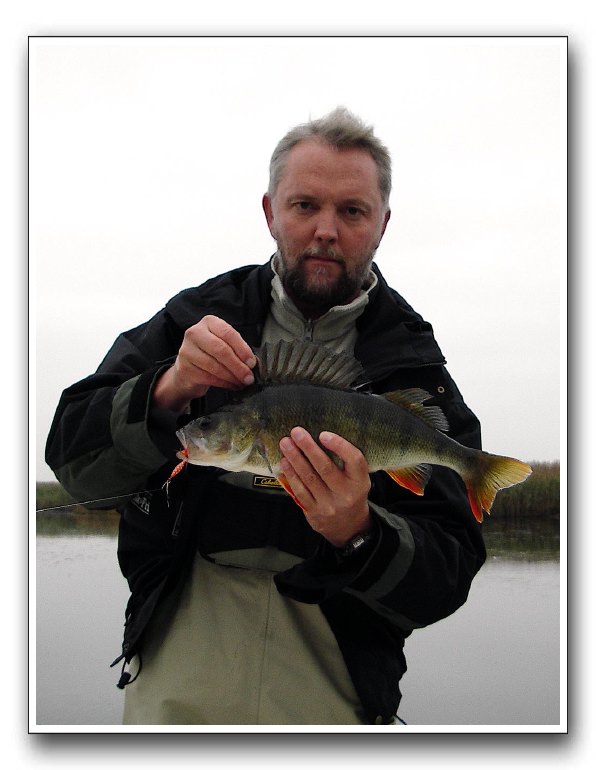 Steen Ulnits med en stor aborre fra Randers fjord. 1.085 gr 42, 5 cm