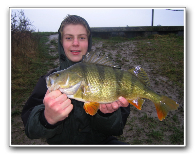 Nikolaj Bødker Pedersen 1650 gr.
