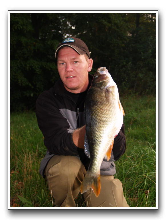 Randers aborre på 1590 gr.