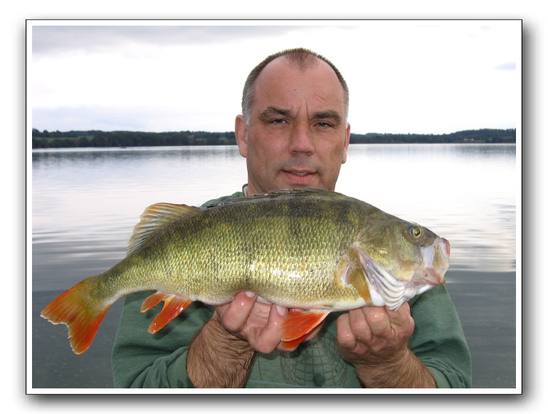  Henrik Bahrenscheer med Esrum aborre på 1.410 gr.
