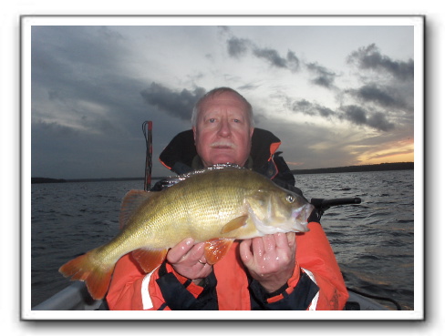 En grumme Esrum sø aborre på 1.700 gr.