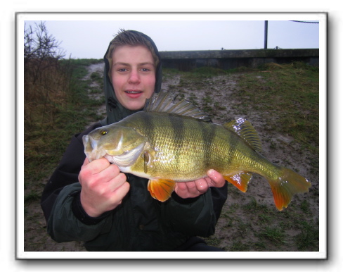 Nikolaj Bødker Pedersen 1650 gr.