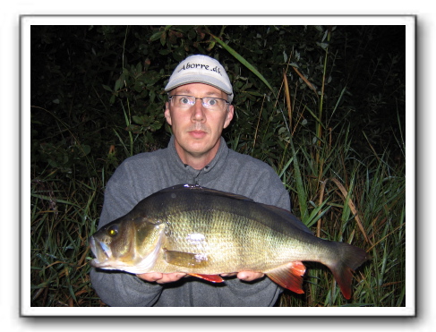 1.630 45,5 cm på død agn