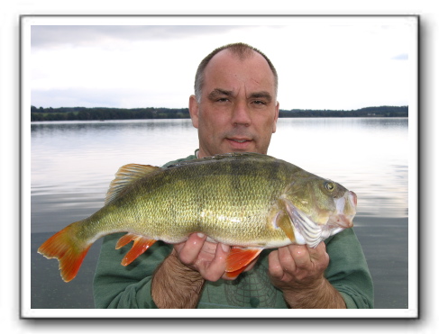 Henrik Bahrenscheer med Esrum aborre på 1.410 gr.