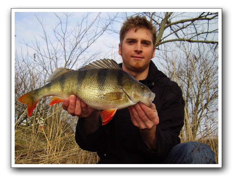 Alf Nissen med en nordjysk aborre på 1100 gr.
