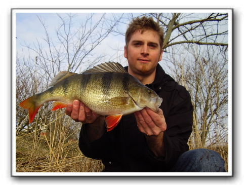 Alf Nissen med en nordjysk aborre på 1100 gr.