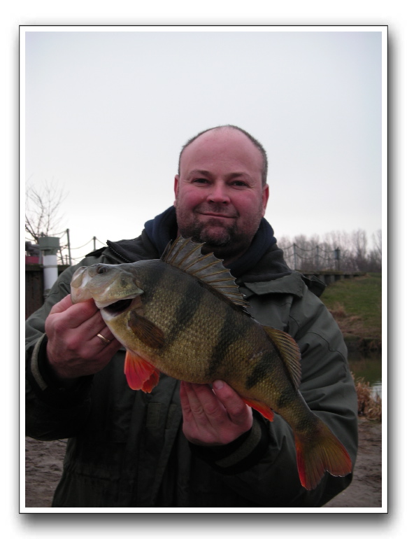  Aborre på 1825 gr fanget af Michael Oddershede 