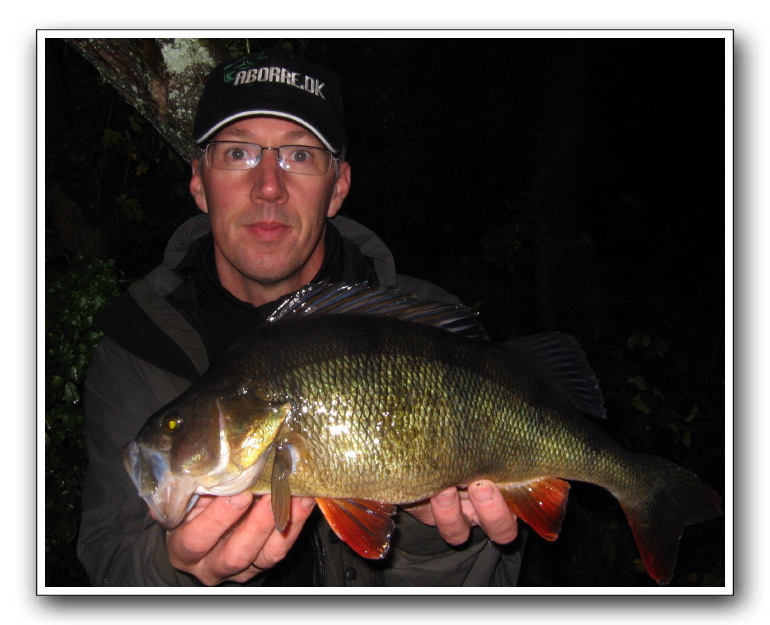 Jørgen Skårup med Gudenå aborre på 1.290 gr.  43 cm