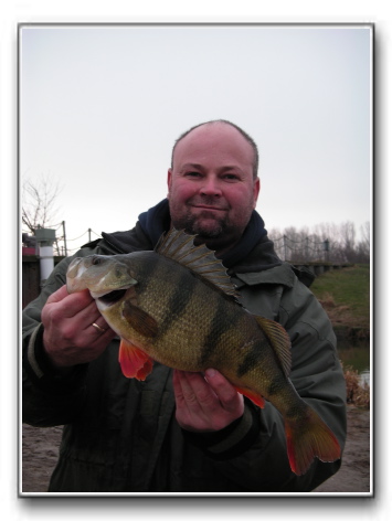 Aborre på 1825 gr fanget af Michael Oddershede