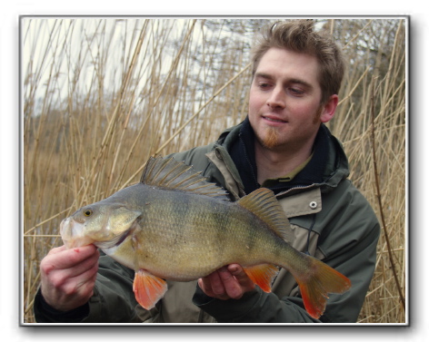 Alf Nissen 1.460 gr. 44cm