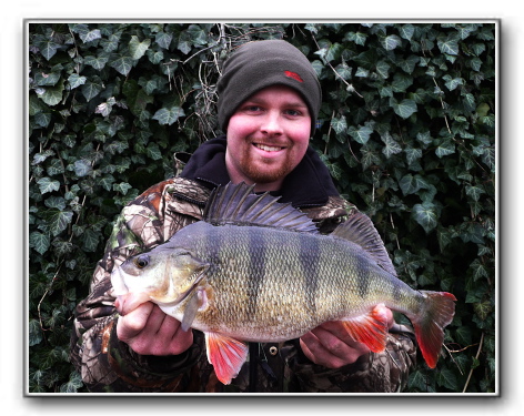 Aborre på 1.4 kg. og 43 cm. fanget af Peter Grapenthin