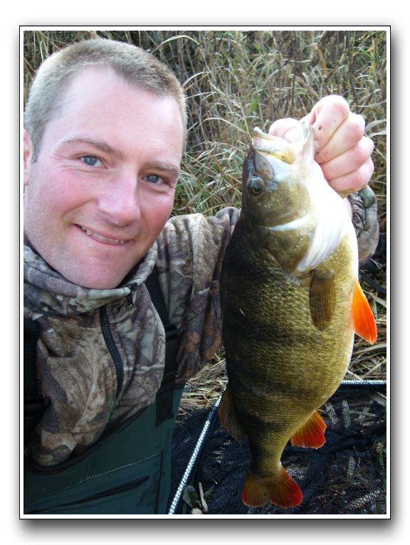 Martin Blond 2.100 gr. 50 cm