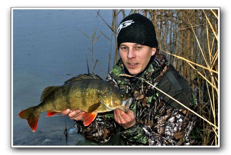 Michael Holm 1.830gr - 48cm