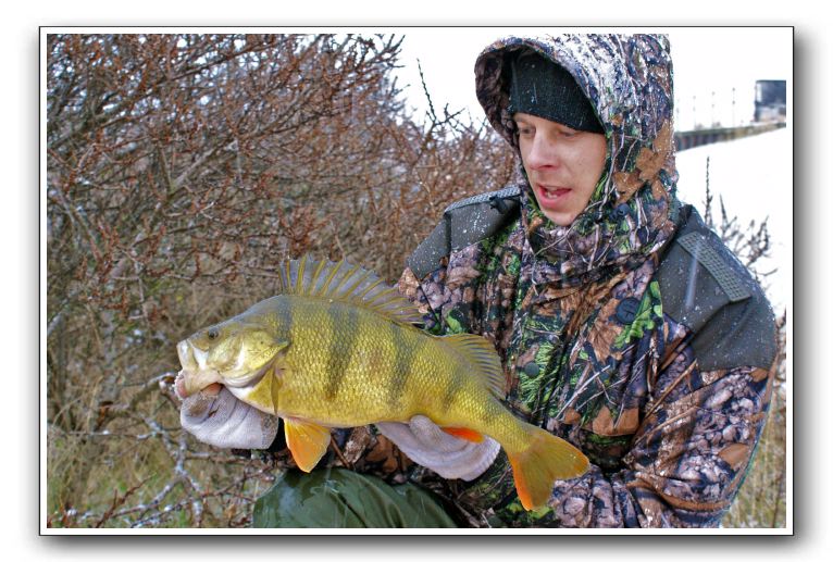 Michael Holm 1.680gr - 47cm