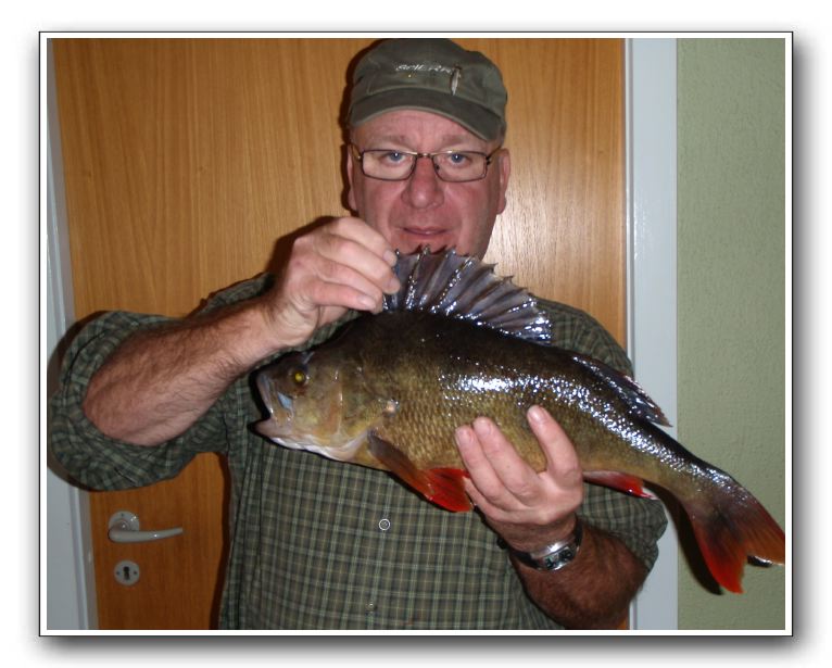 Frits Kudsk 2.050 - 53 cm