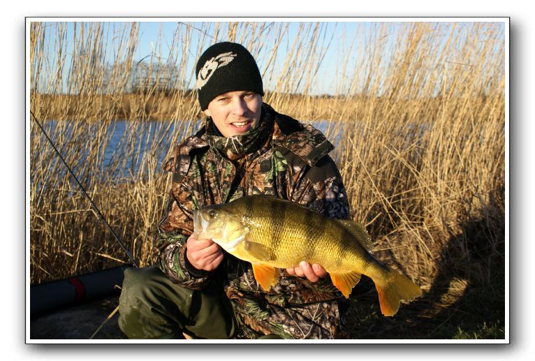 Michael Holm 1.860gr - 47cm 