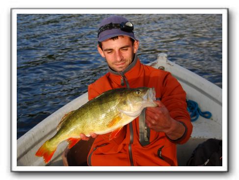 Rasmus Fleckenstein 1.6 kg og 50 cm