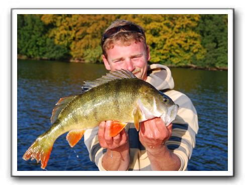 Bård Johnson - 1.6 kg og 47,5 cm.