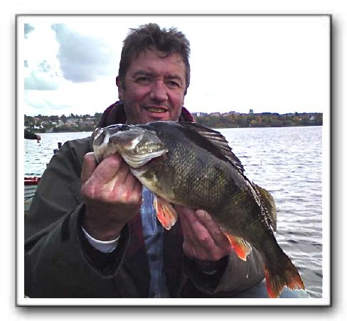 Claus Guldbrandsen 1.400 gr. 46 cm