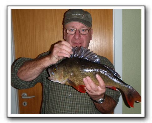 Frits Kudsk 2.050 - 53 cm