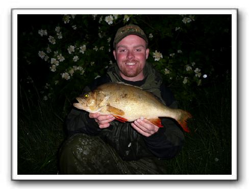 Peter Graphentin med en gul aborre på 1.920 gr - 48,5 cm