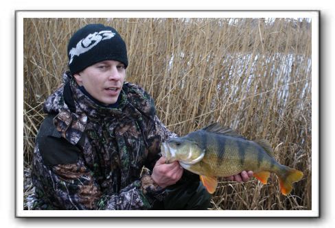 Michael Holm 1.840gr - 48cm