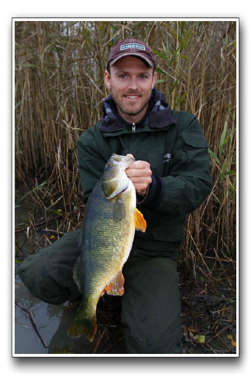 Henrik Carl 1.950 gr.