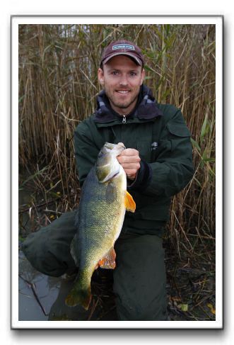 Henrik Carl 1.950 gr.