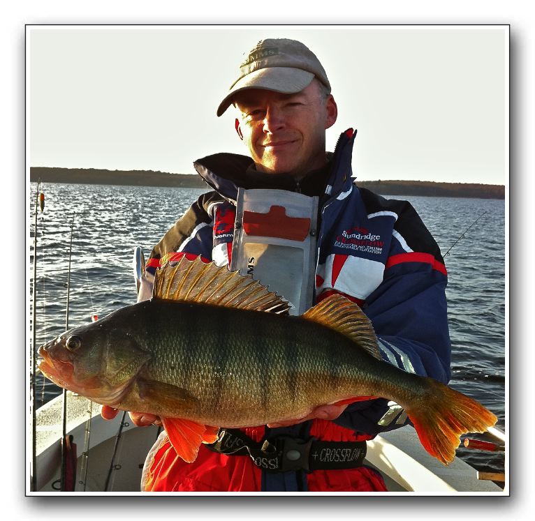 Klaus Vestergaard 1.825 - 49 cm