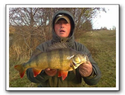 Rene Stabel 2.125 gr.