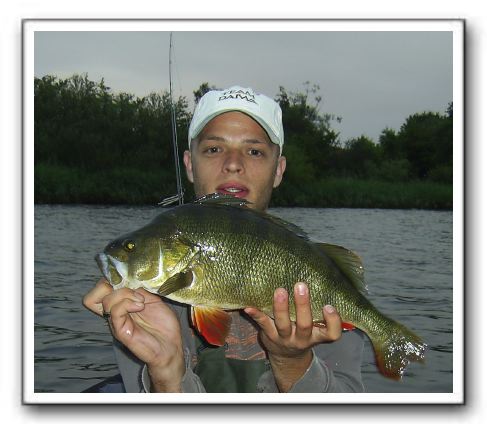 Mads Christiansen 2.100 gr 56 cm.