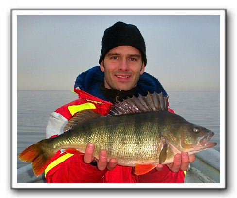 Ib Guldager 2.085 gr.  - 51 cm.