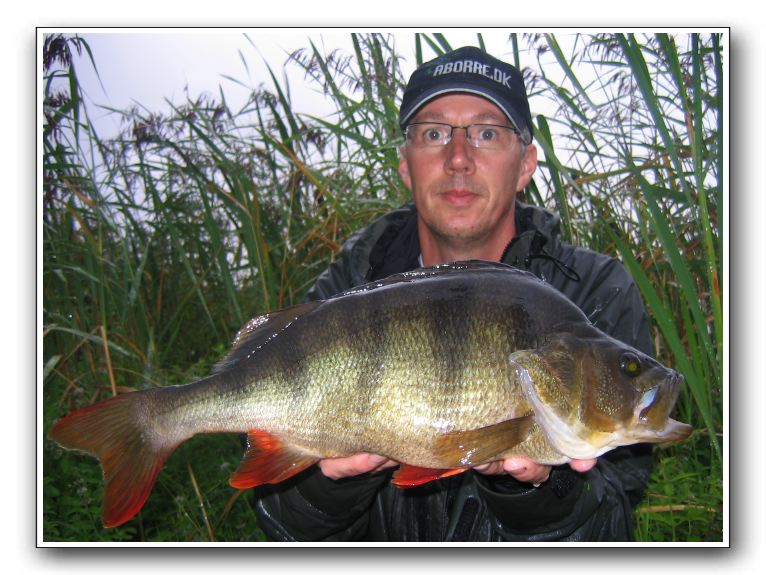 Jørgen Skårup 2.110 gr. 49 cm