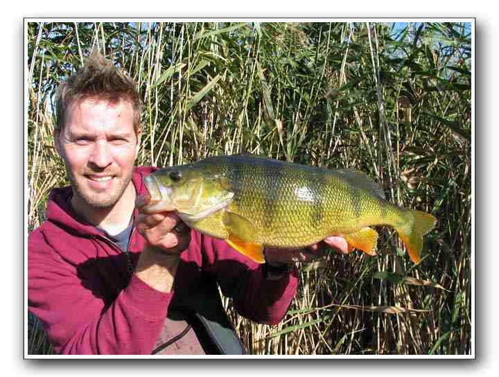 Mads Grosell med endnu en grum søaborre på 2080 gr. - 48.5 cm