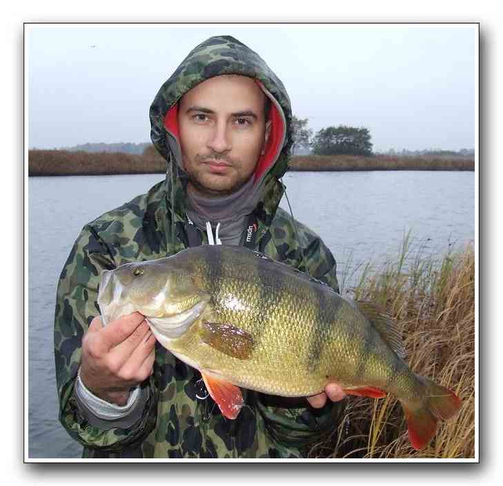 Daniel Celeda med aborre 2,025 kilo