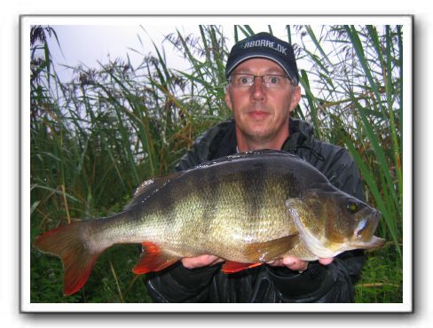 Jørgen Skårup 2.110 gr. 49 cm