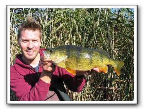 Mads Grosell med endnu en grum søaborre på 2080 gr. - 48.5 cm