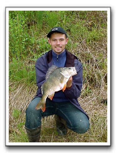 Morten J. Pedersen med jysk aborre på 2.050 kg