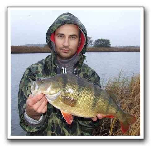 Daniel Celeda med aborre 2,025 kilo