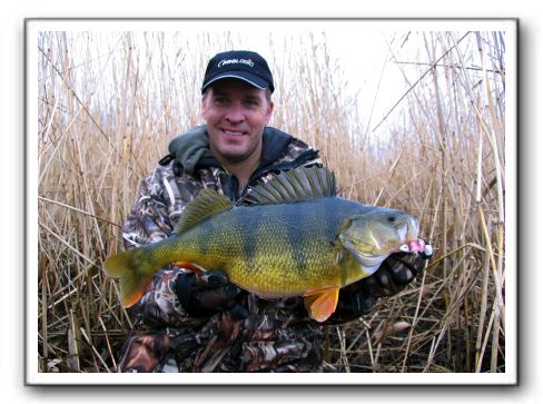 Mads Grosell 2.300, 50 cm.