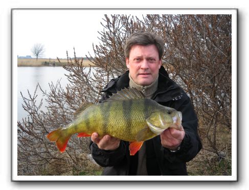 Søren B. Hansen Aborre 2.210 gr.