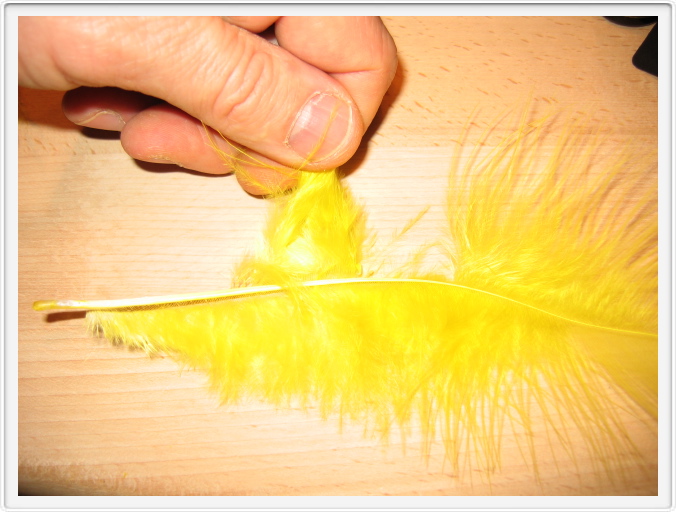 Klip et lille bundt af en fjer.